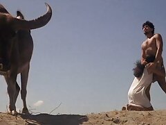 Nakchal video porno mamme troie zhopasty bruna nel culo
